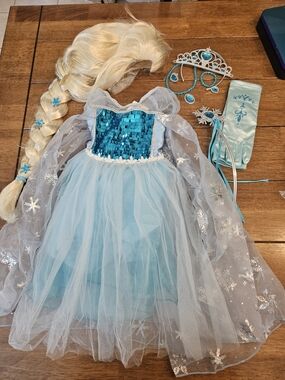 Blue Sequin Princess Dress (ELSA) Costume with Accessories- Size 2t/3t ✨️NWT✨️